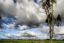 九游体育-包含中超赛前走向成谜，阿斯顿维拉战术微调，管理层满意，年轻球员获得机会的词条